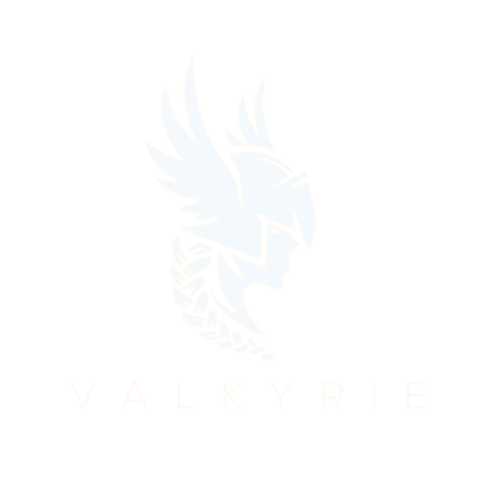 Valkyrie Rune Lift Adapter The Valkyrie β Lift-Run-Bang